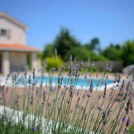 Sanda Holiday home *